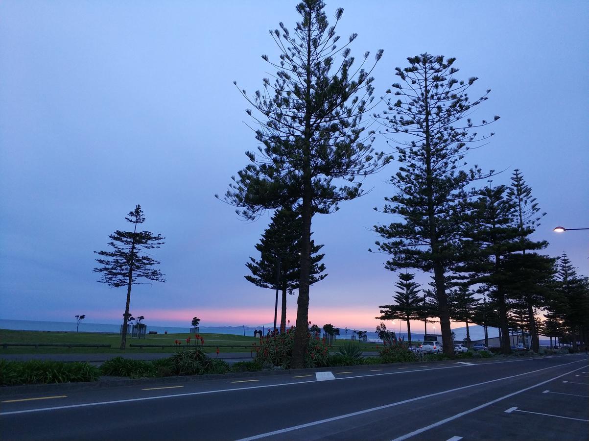 Napier Art House Backpackers Pansiyon Dış mekan fotoğraf