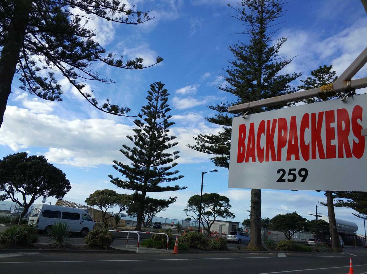 Napier Art House Backpackers Pansiyon Dış mekan fotoğraf